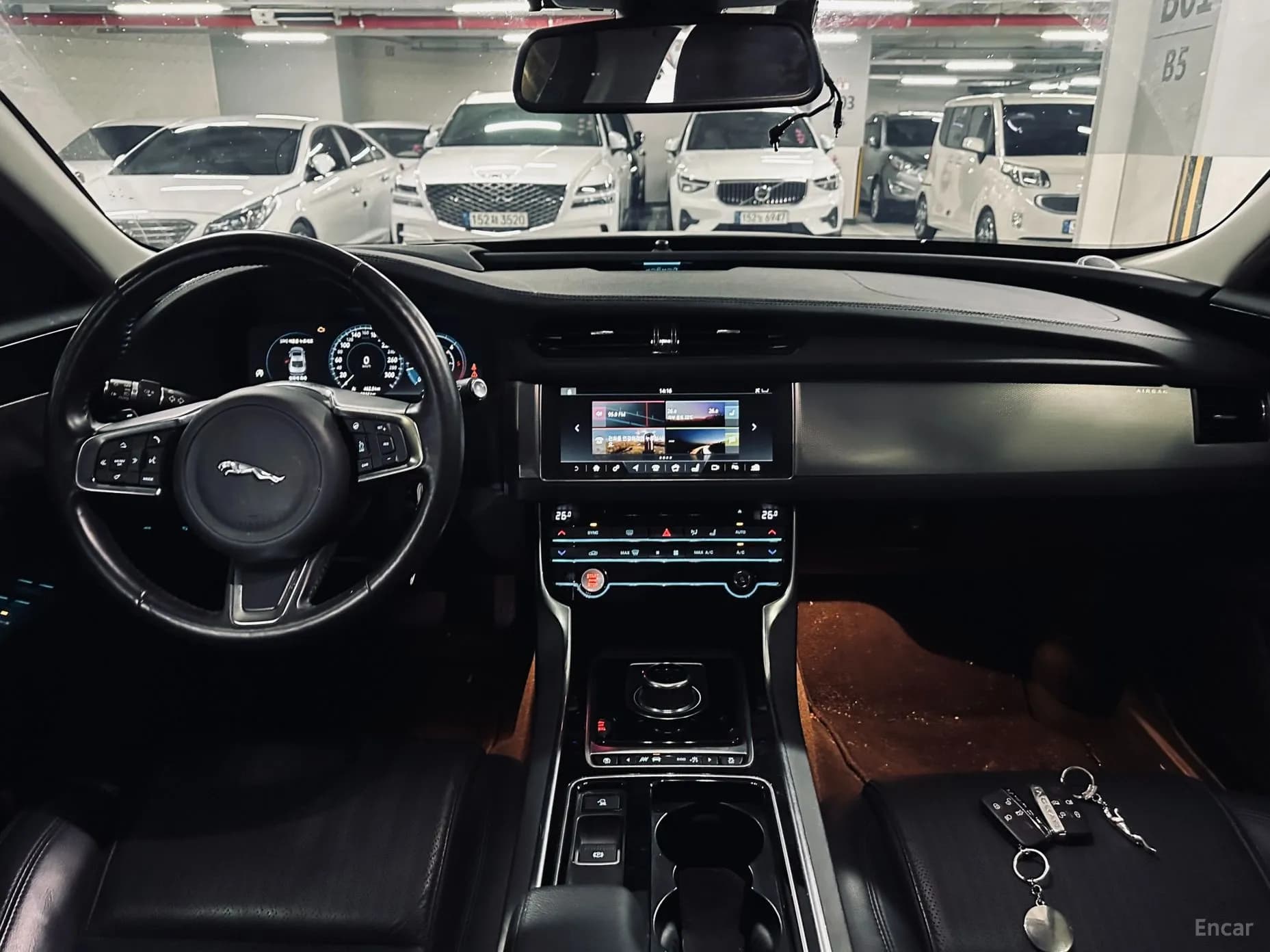 XF (x260)