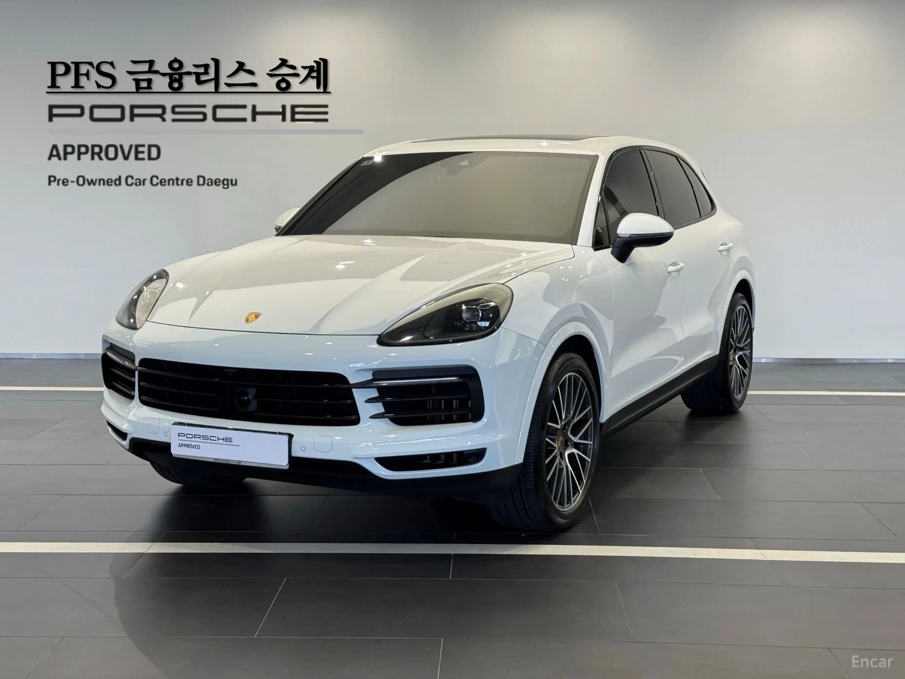 Cayenne (PO536)