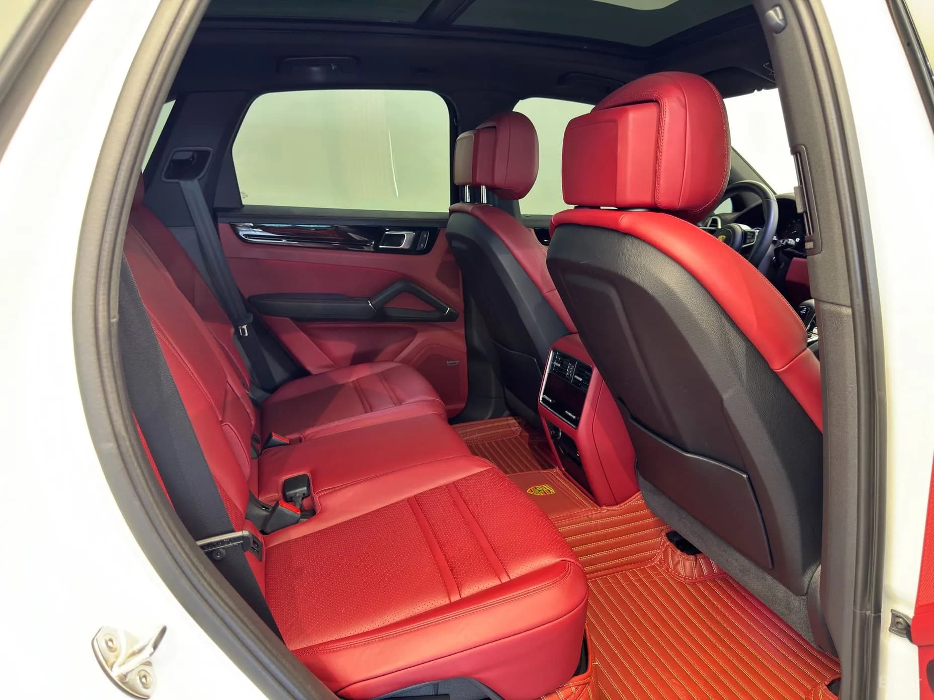 Cayenne (PO536)