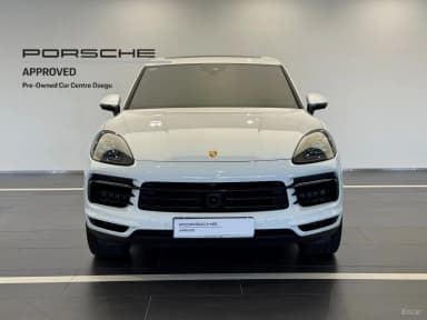 Cayenne (PO536)