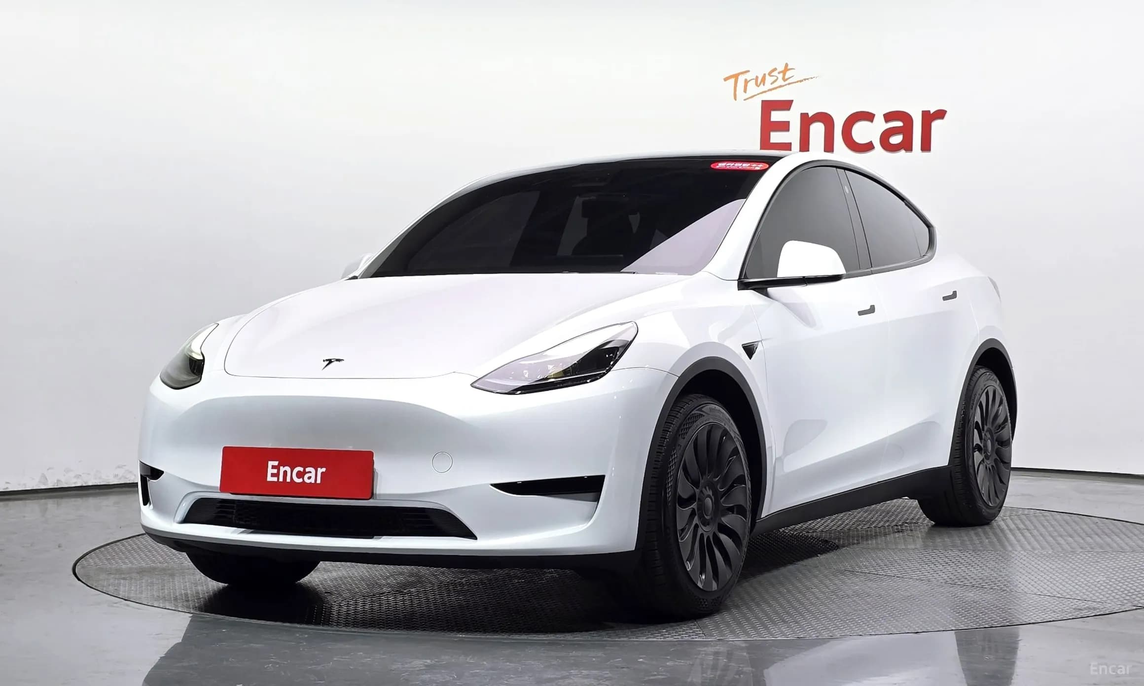 Model Y