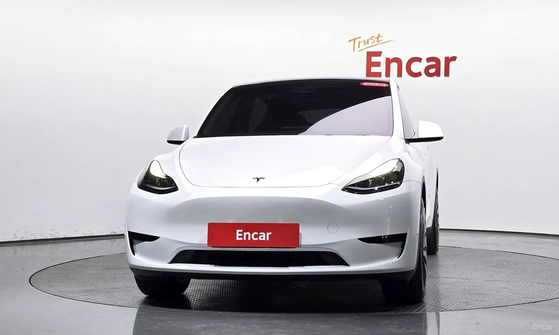 Model Y