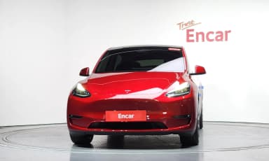 Model Y