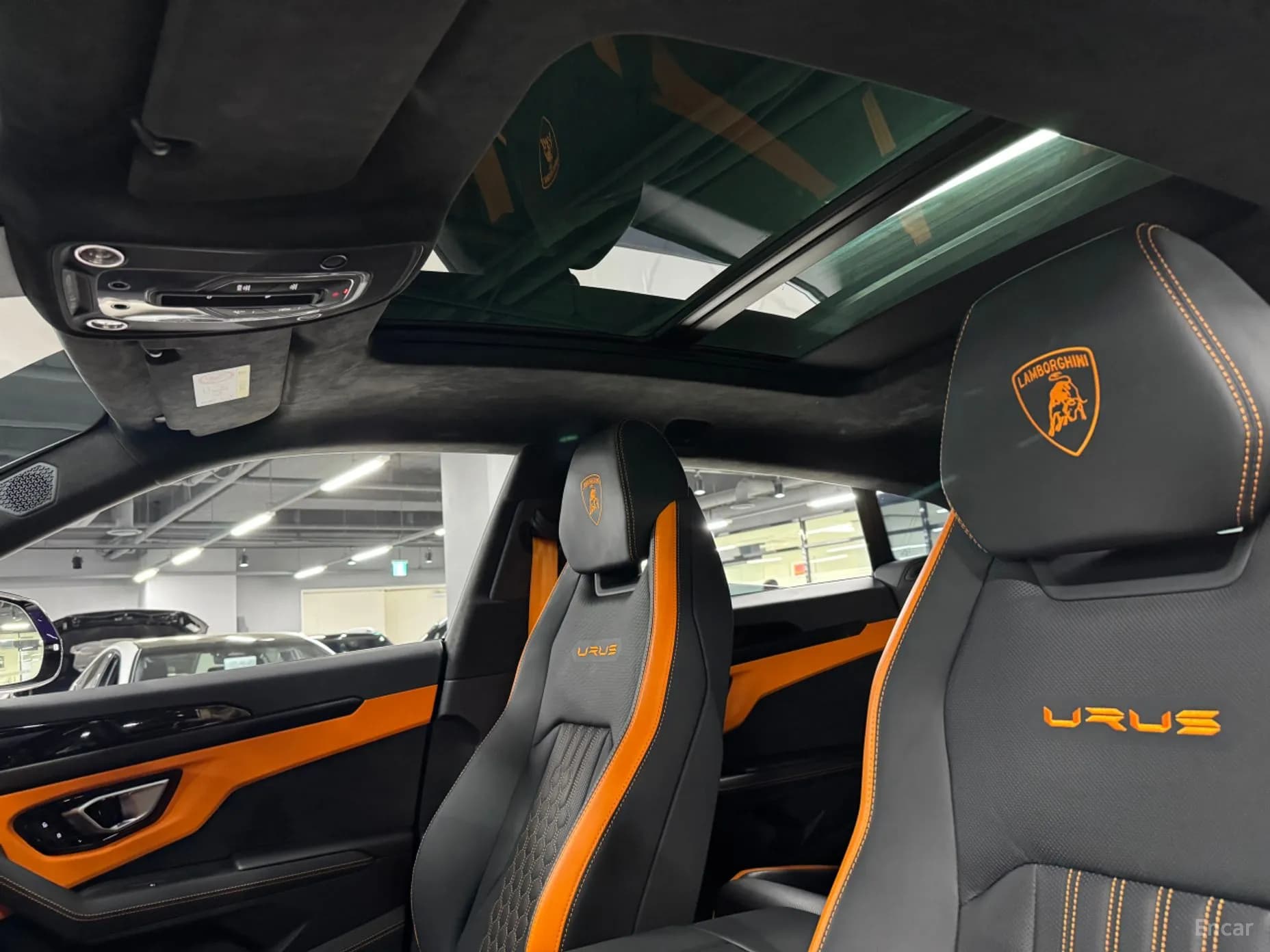 Urus