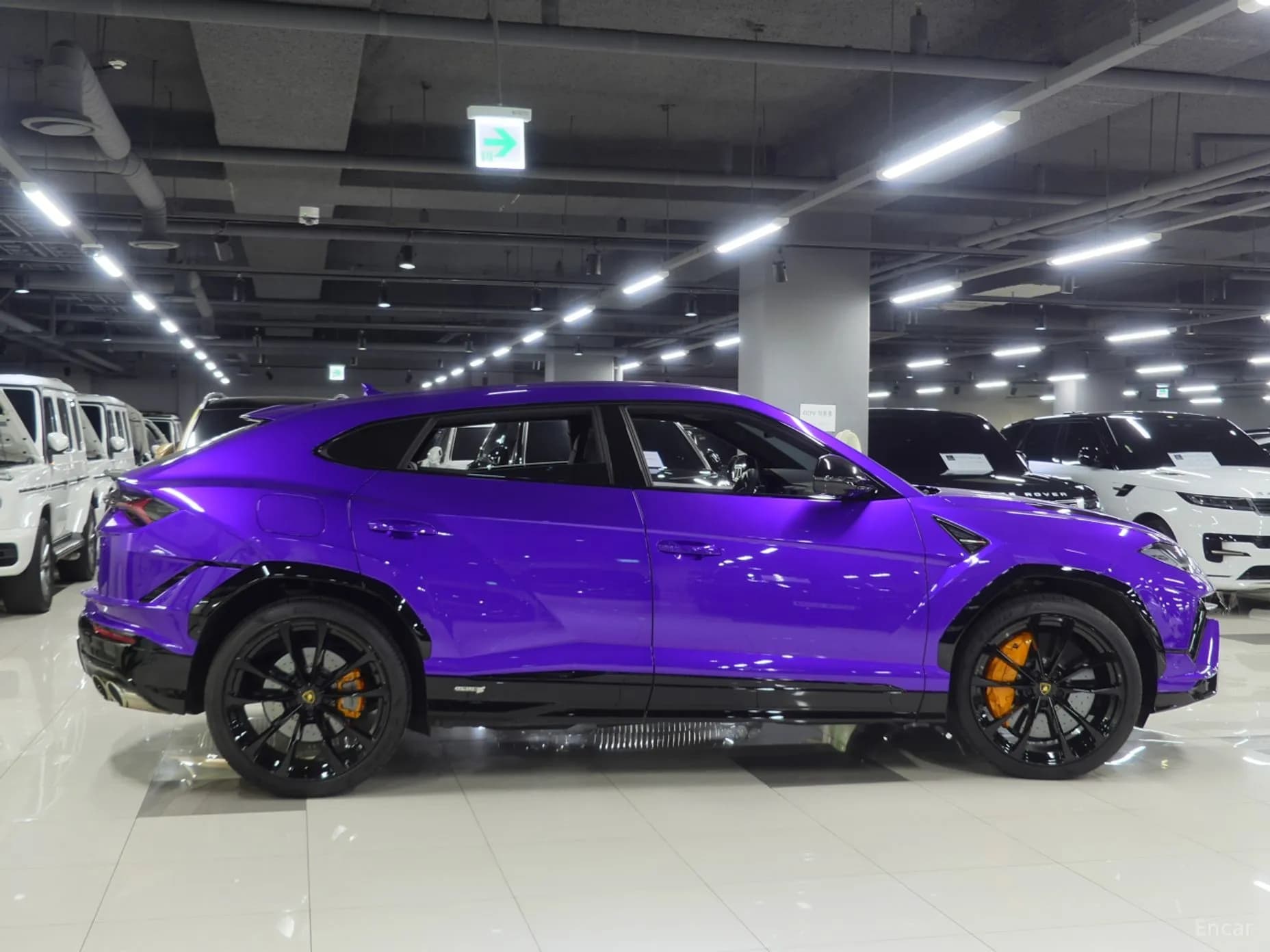 Urus
