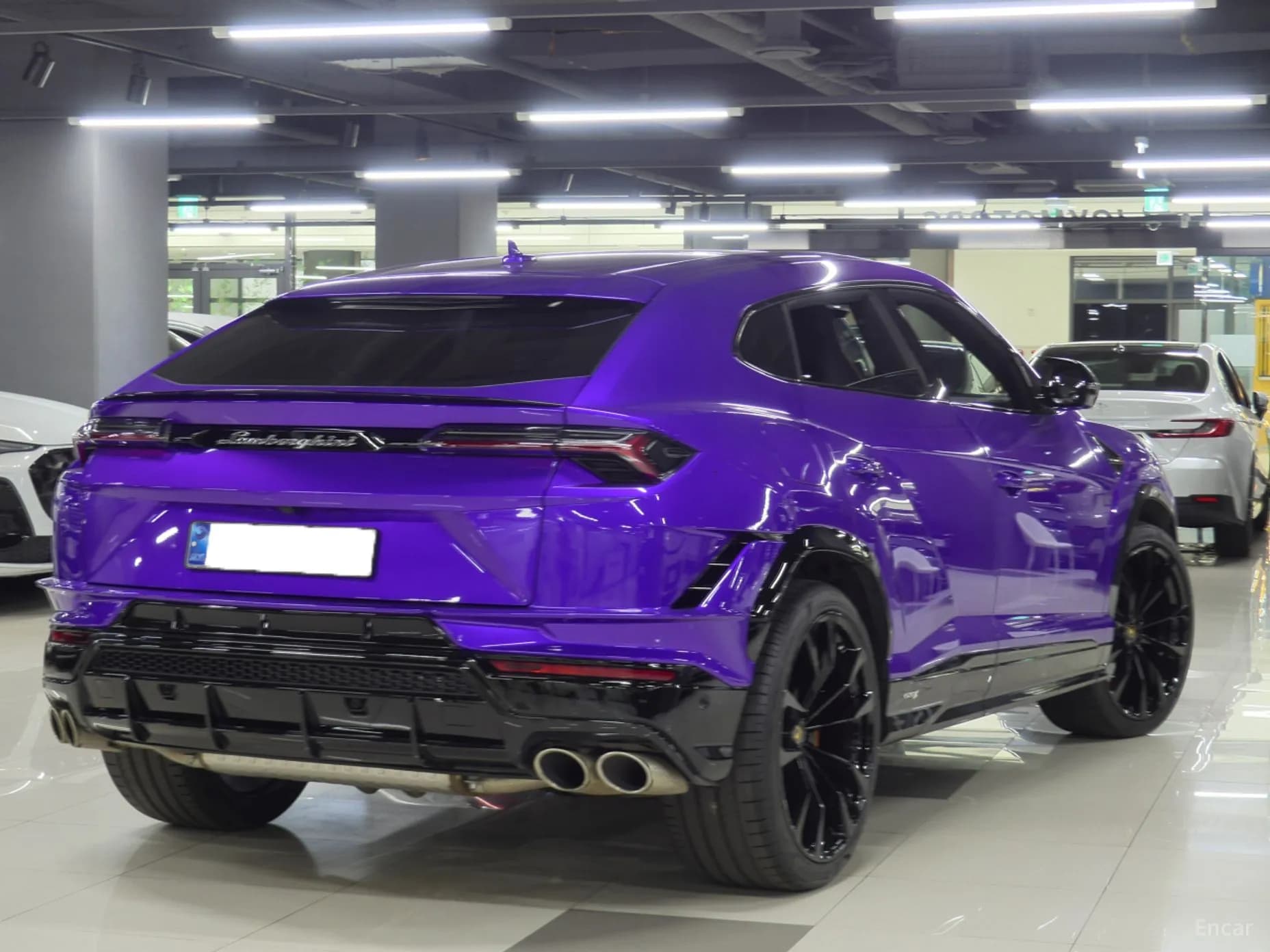 Urus