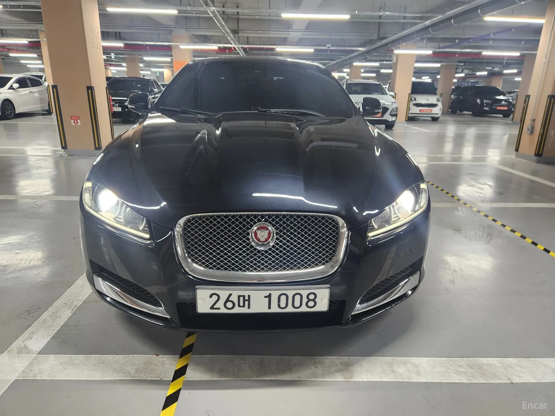 XF