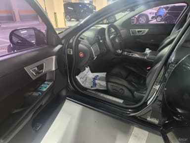 XF
