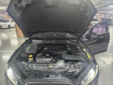 XF