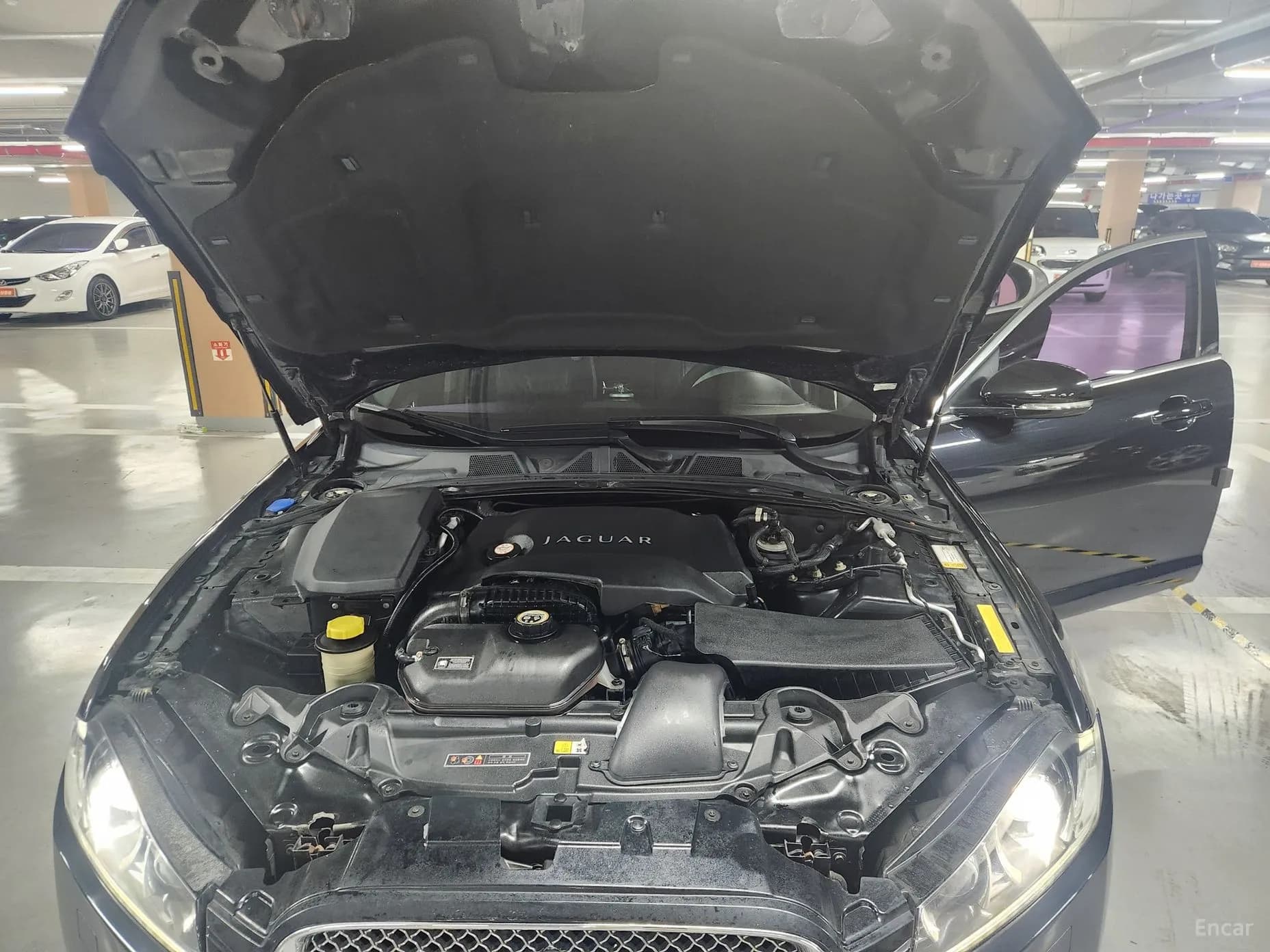XF