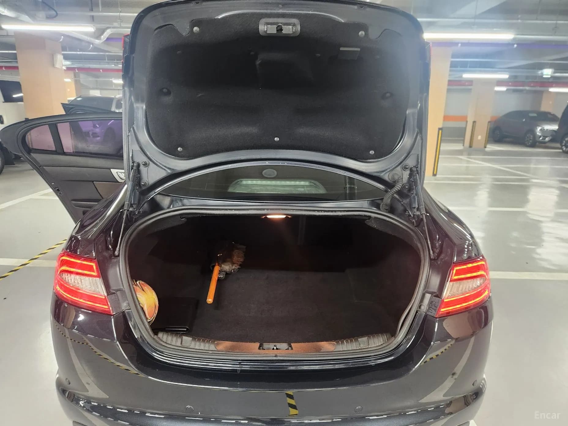 XF