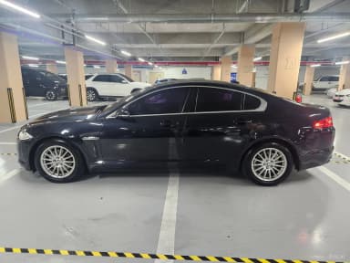XF