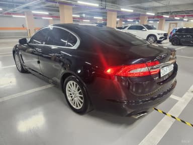 XF