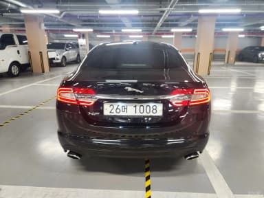 XF