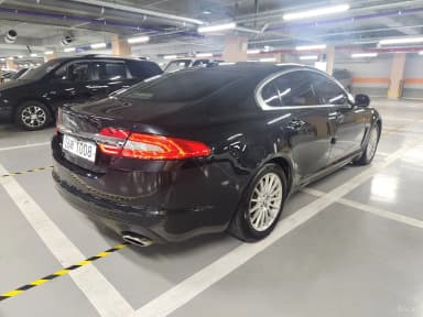 XF