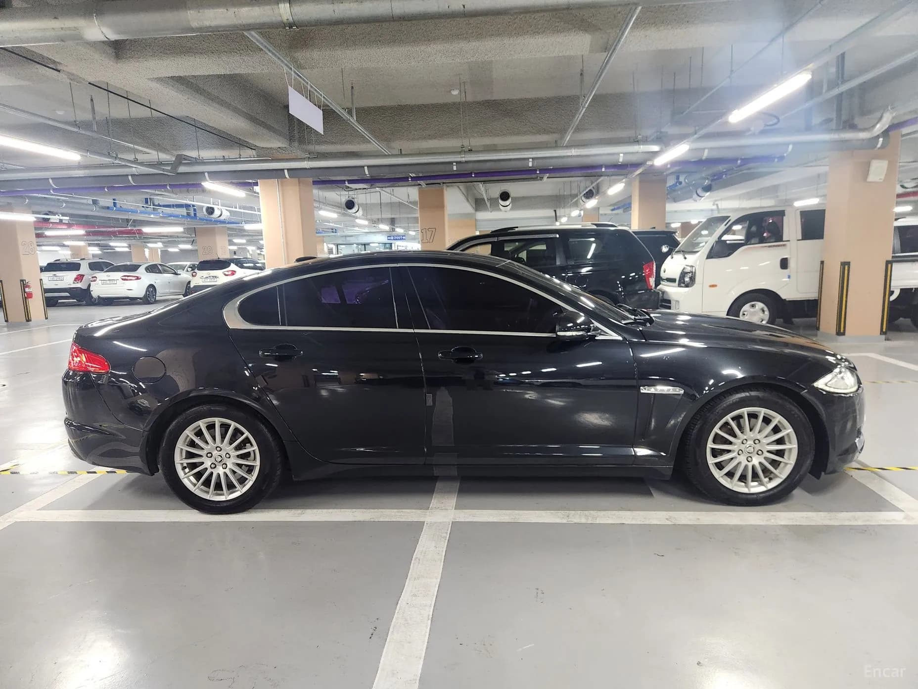 XF