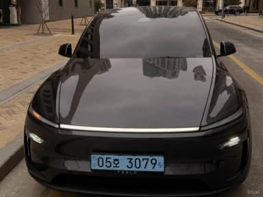 Model Y