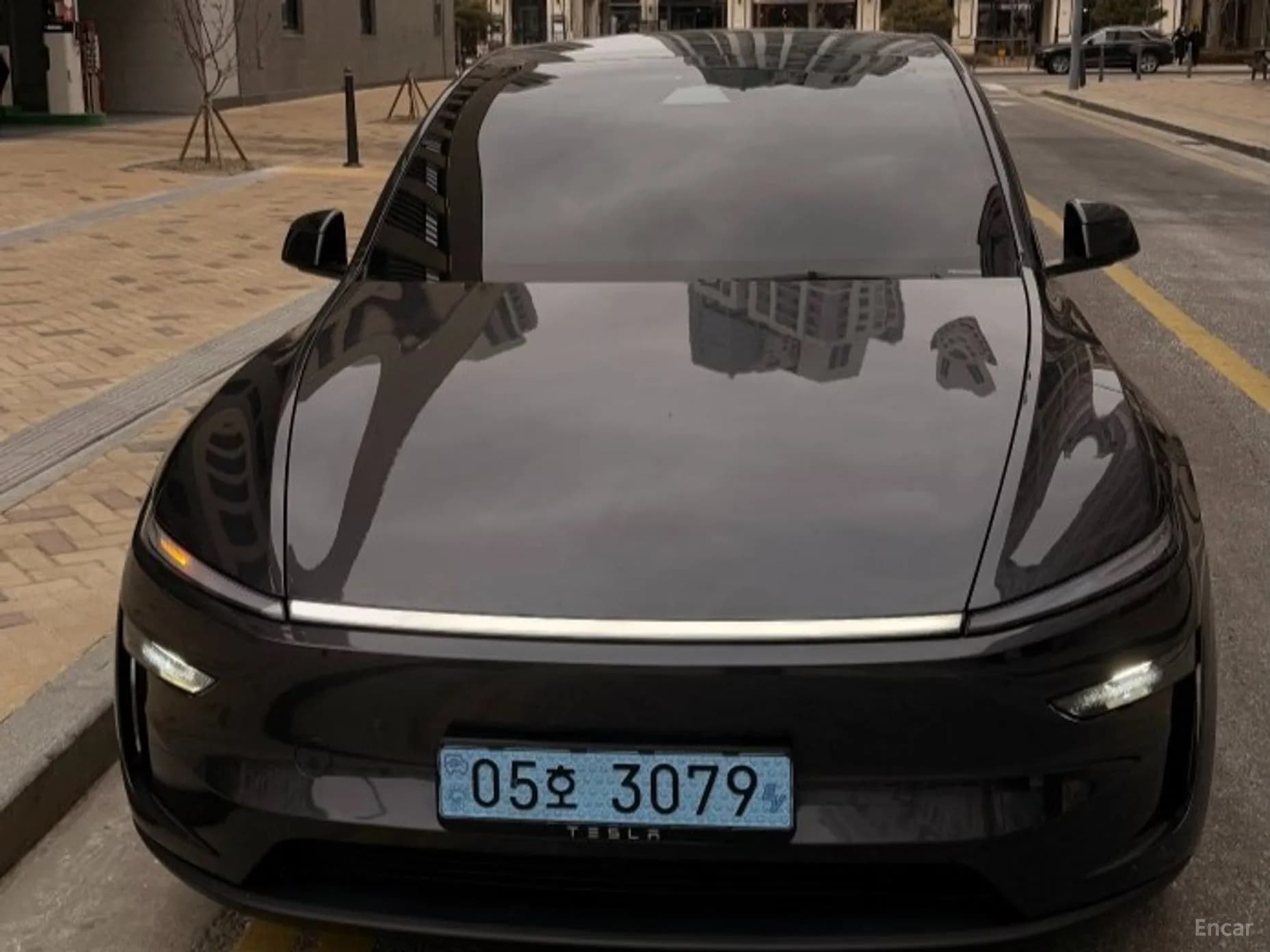 Model Y