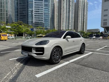 Cayenne (PO536)