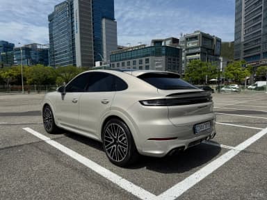 Cayenne (PO536)