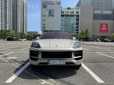Cayenne (PO536)