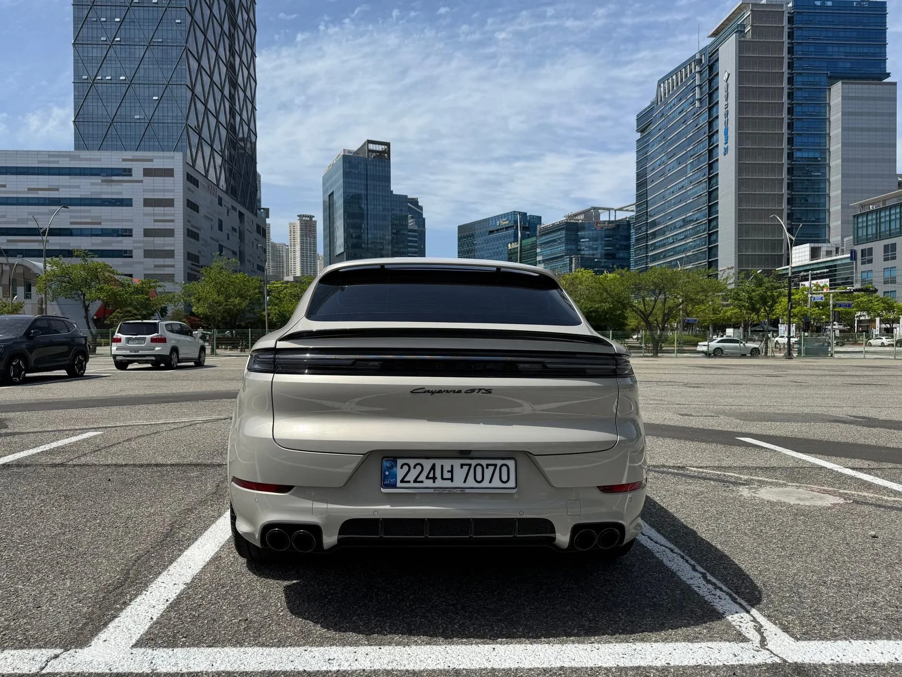 Cayenne (PO536)