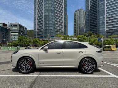 Cayenne (PO536)