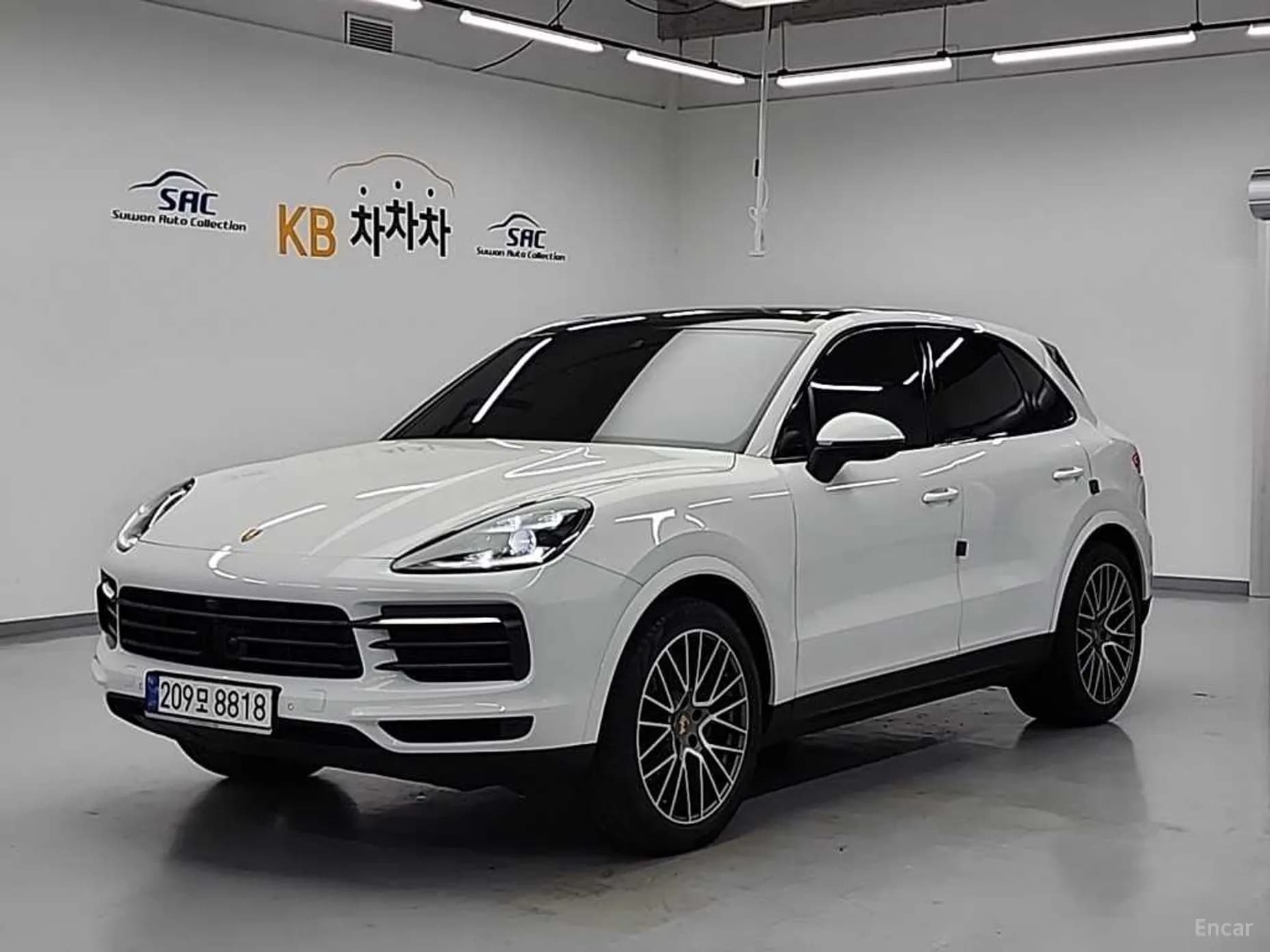 Cayenne (PO536)