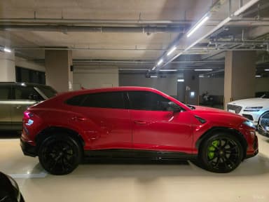 Urus
