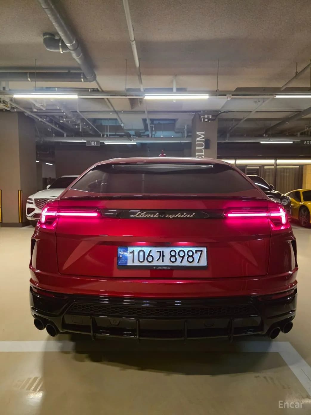 Urus