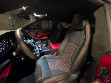 Urus