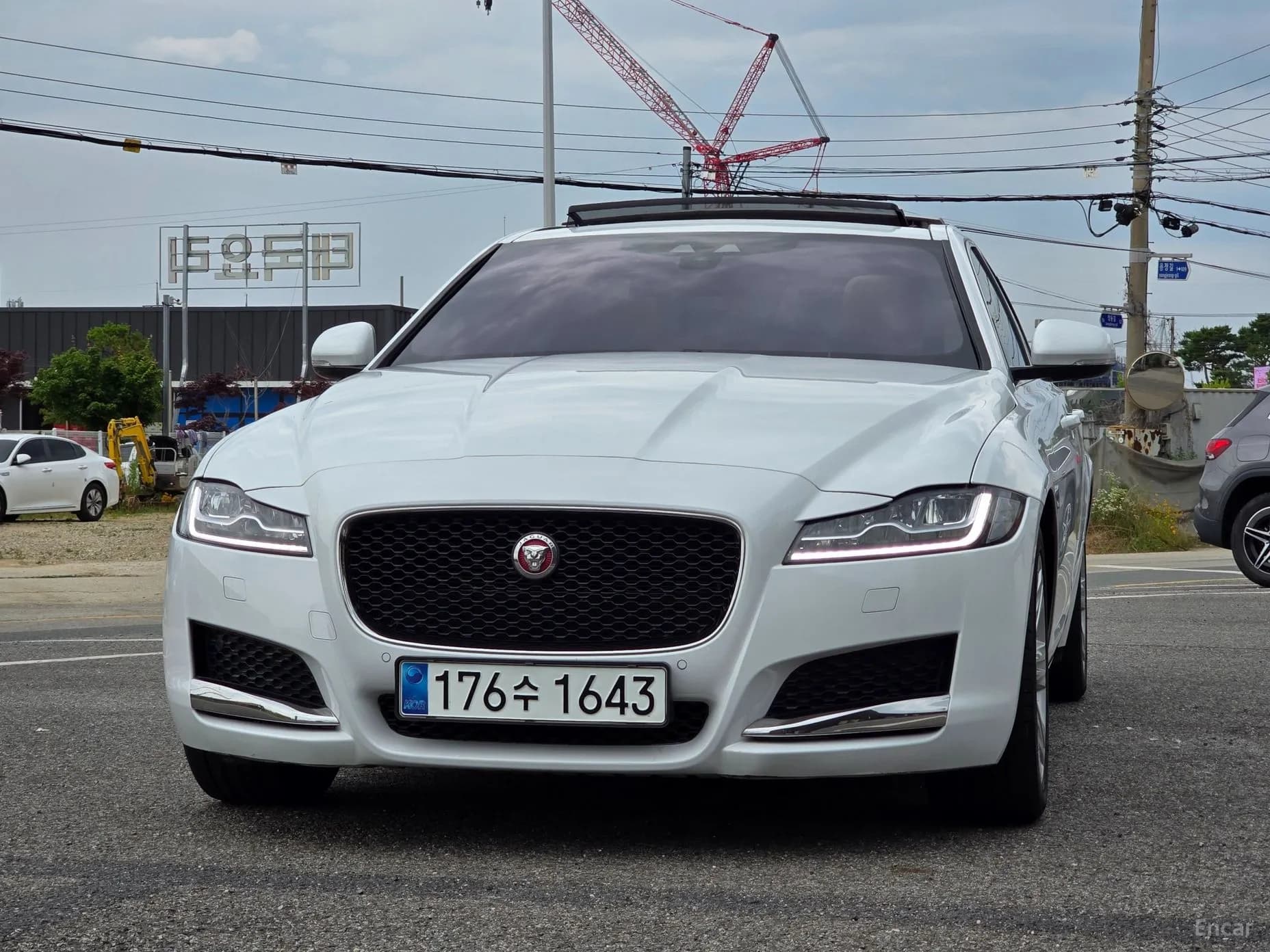 XF (x260)