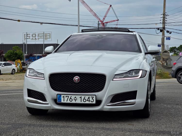 XF (x260)