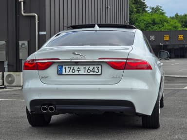 XF (x260)