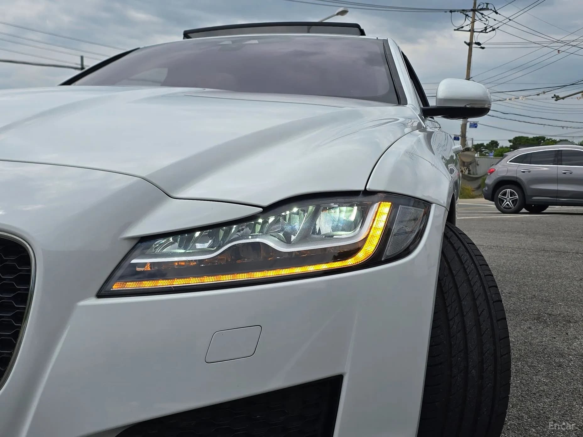 XF (x260)