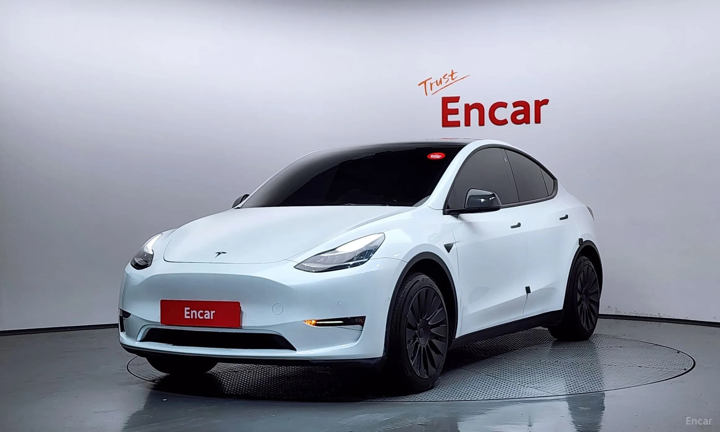 Model Y