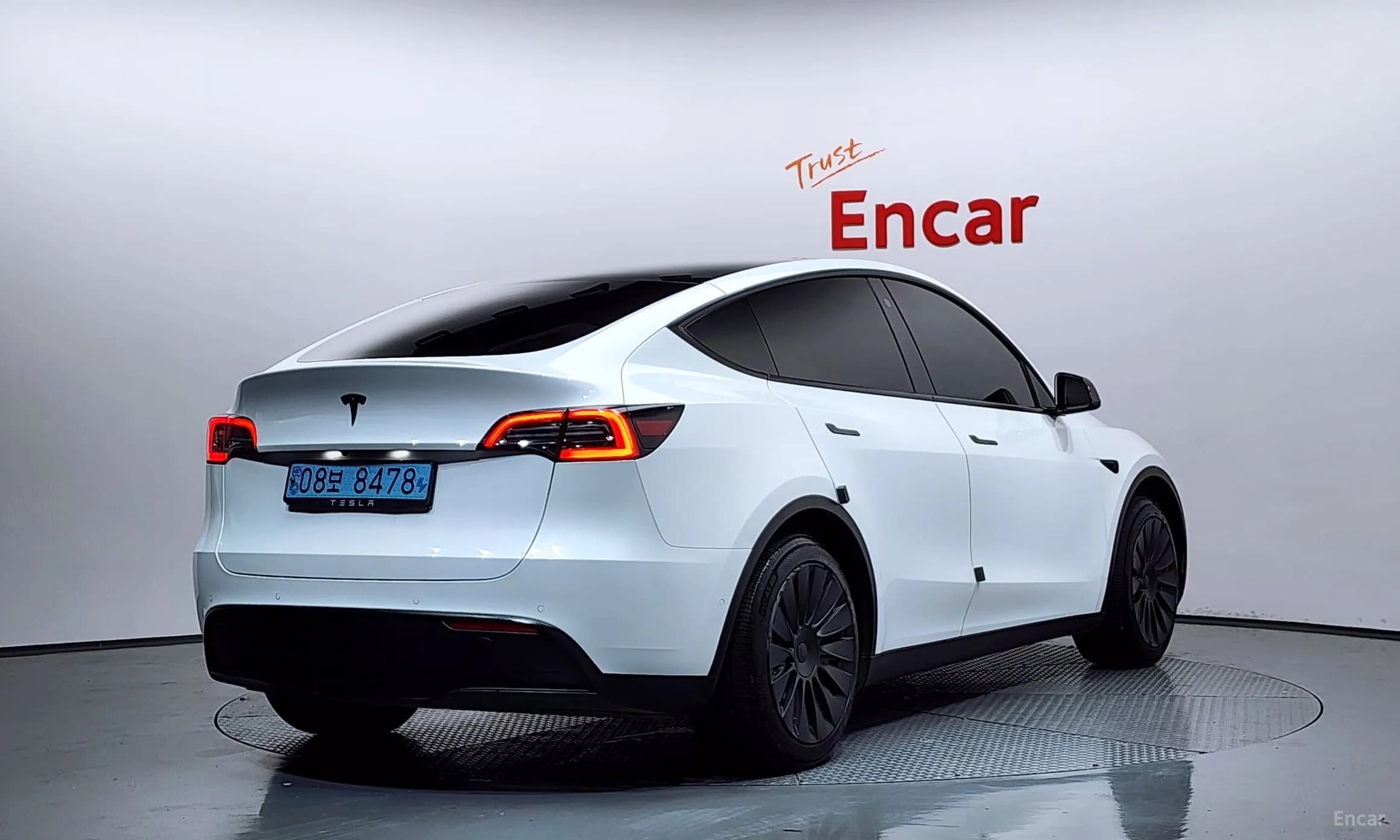 Model Y