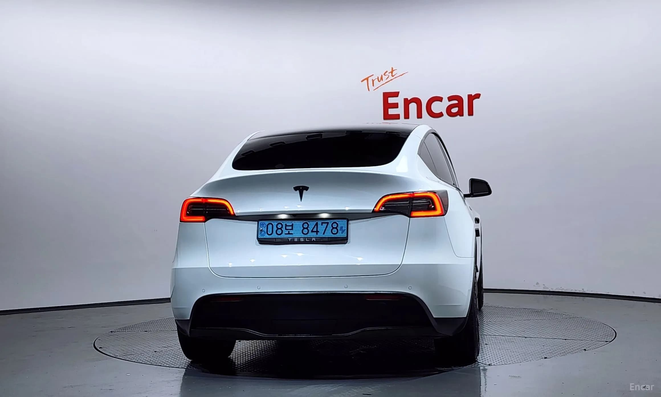 Model Y