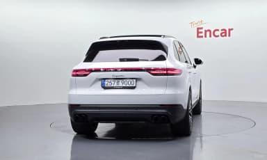 Cayenne (PO536)