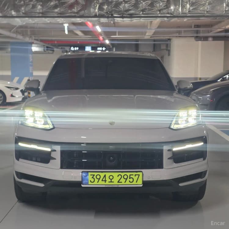 Cayenne (PO536)