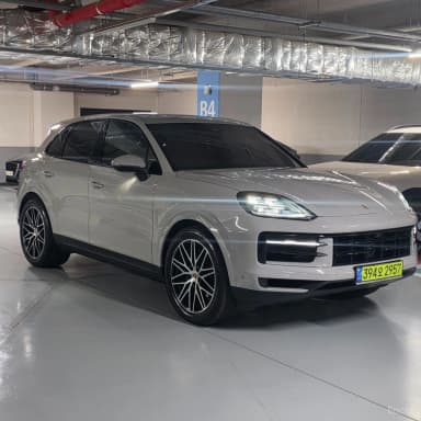 Cayenne (PO536)