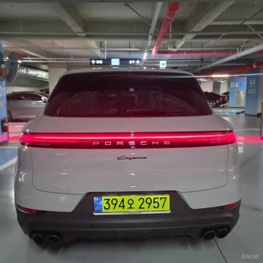 Cayenne (PO536)