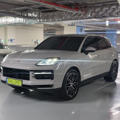 Cayenne (PO536)