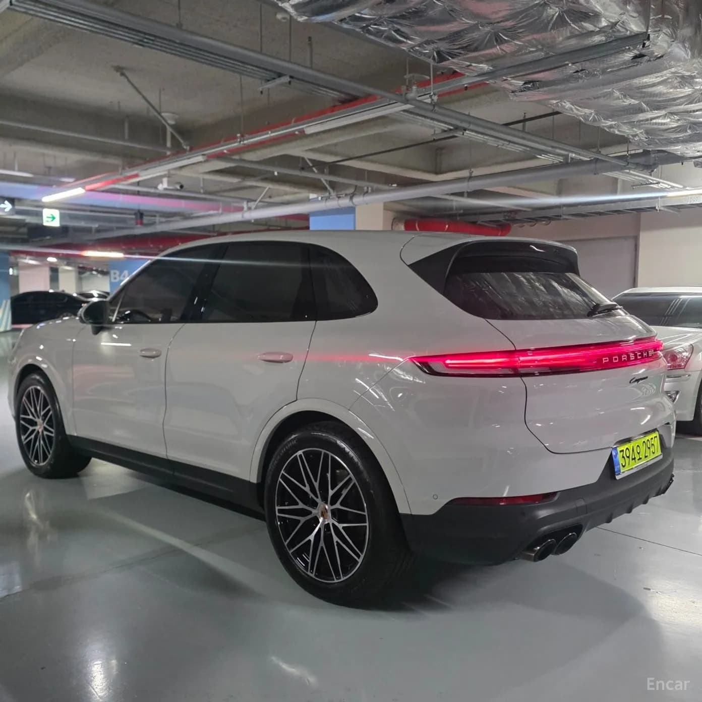 Cayenne (PO536)