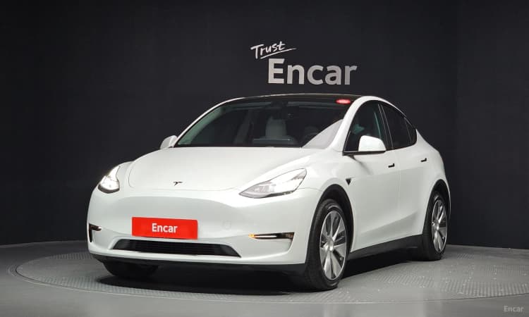 Model Y