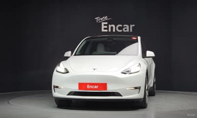 Model Y