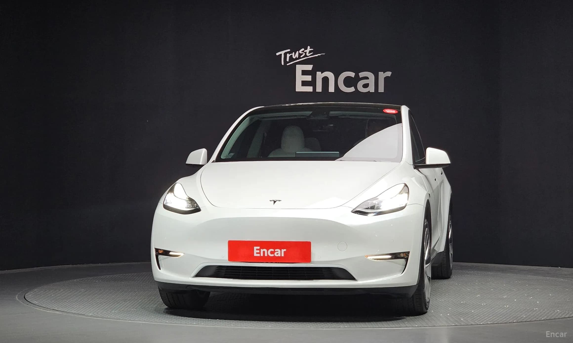 Model Y