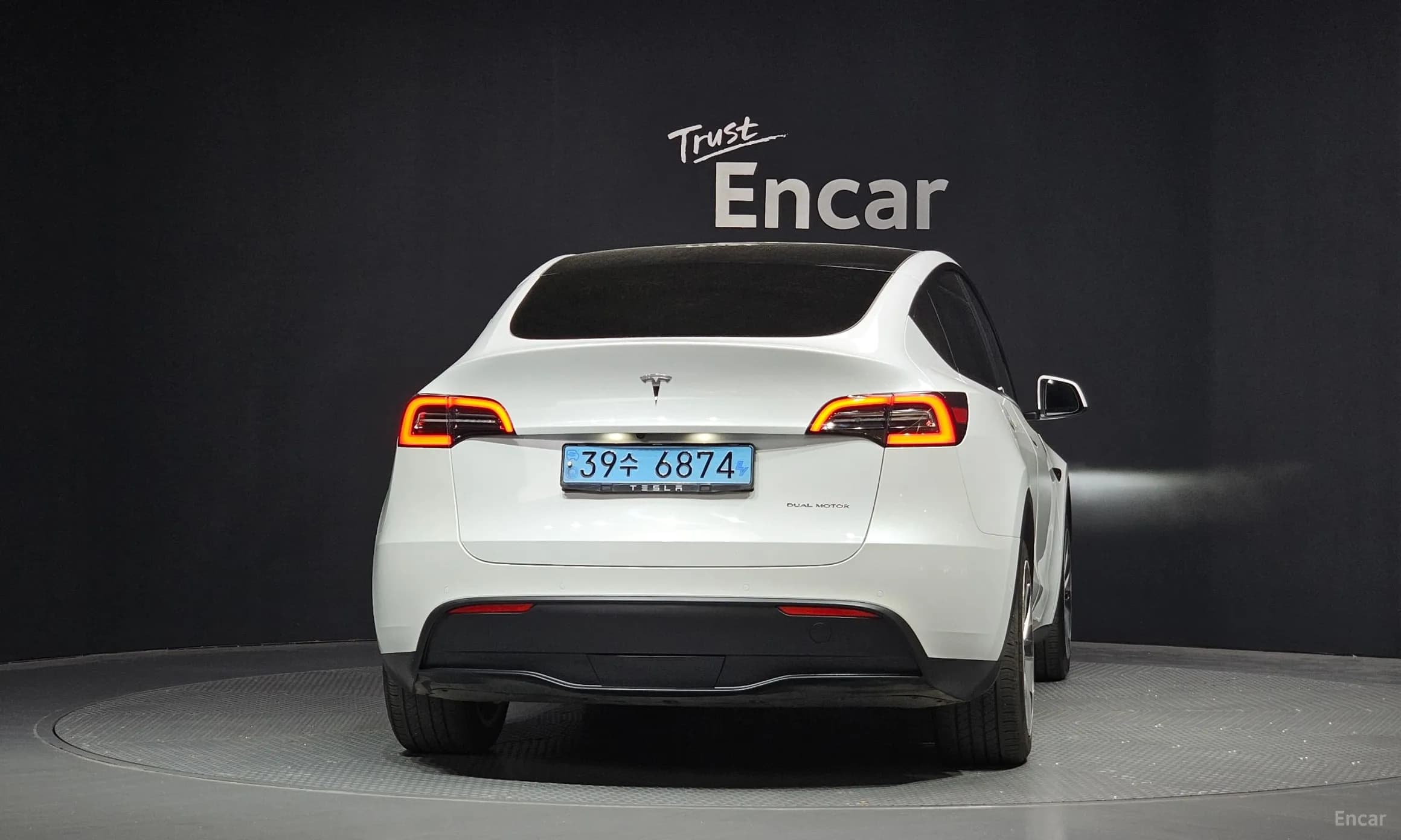 Model Y