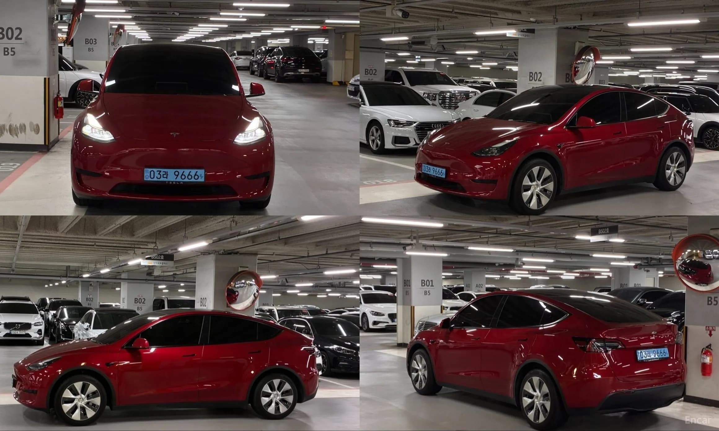 Model Y