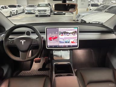 Model Y